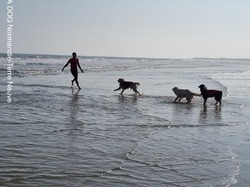  <a style='color: #fff;' href='/uploaded/photo/entrainements-2022-62efb1be979a4.jpg'>(Télécharger)</a>