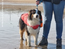  <a style='color: #fff;' href='/uploaded/photo/entrainements-2022-62efb1c055a2c.jpg'>(Télécharger)</a>