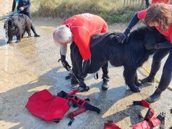  <a style='color: #fff;' href='/uploaded/photo/entrainements-2022-62efb274c9f34.jpg'>(Télécharger)</a>