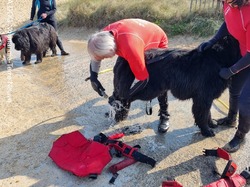  <a style='color: #fff;' href='/uploaded/photo/entrainements-2022-62efb276ee04c.jpg'>(Télécharger)</a>