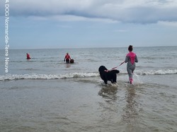  <a style='color: #fff;' href='/uploaded/photo/entrainements-2022-62efb34a384db.jpg'>(Télécharger)</a>